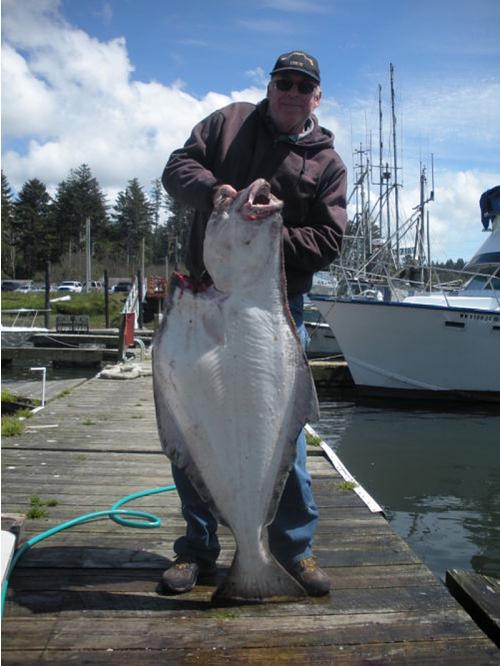 Halibut Bottom Fishing Washington Olympic Peninsula Washington State